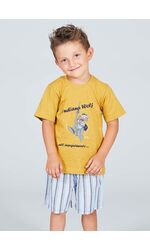 Шорты и футболка на лето для мальчика Happy people HP_4513